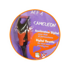 cameleonV27